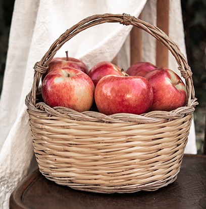 Compare to aroma APPLE WREATH by BBW ® F22720